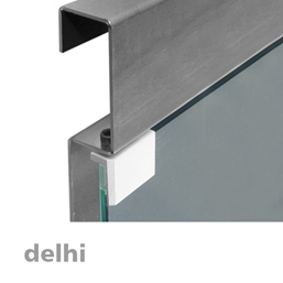 delhi