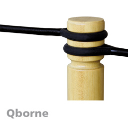 Qborne